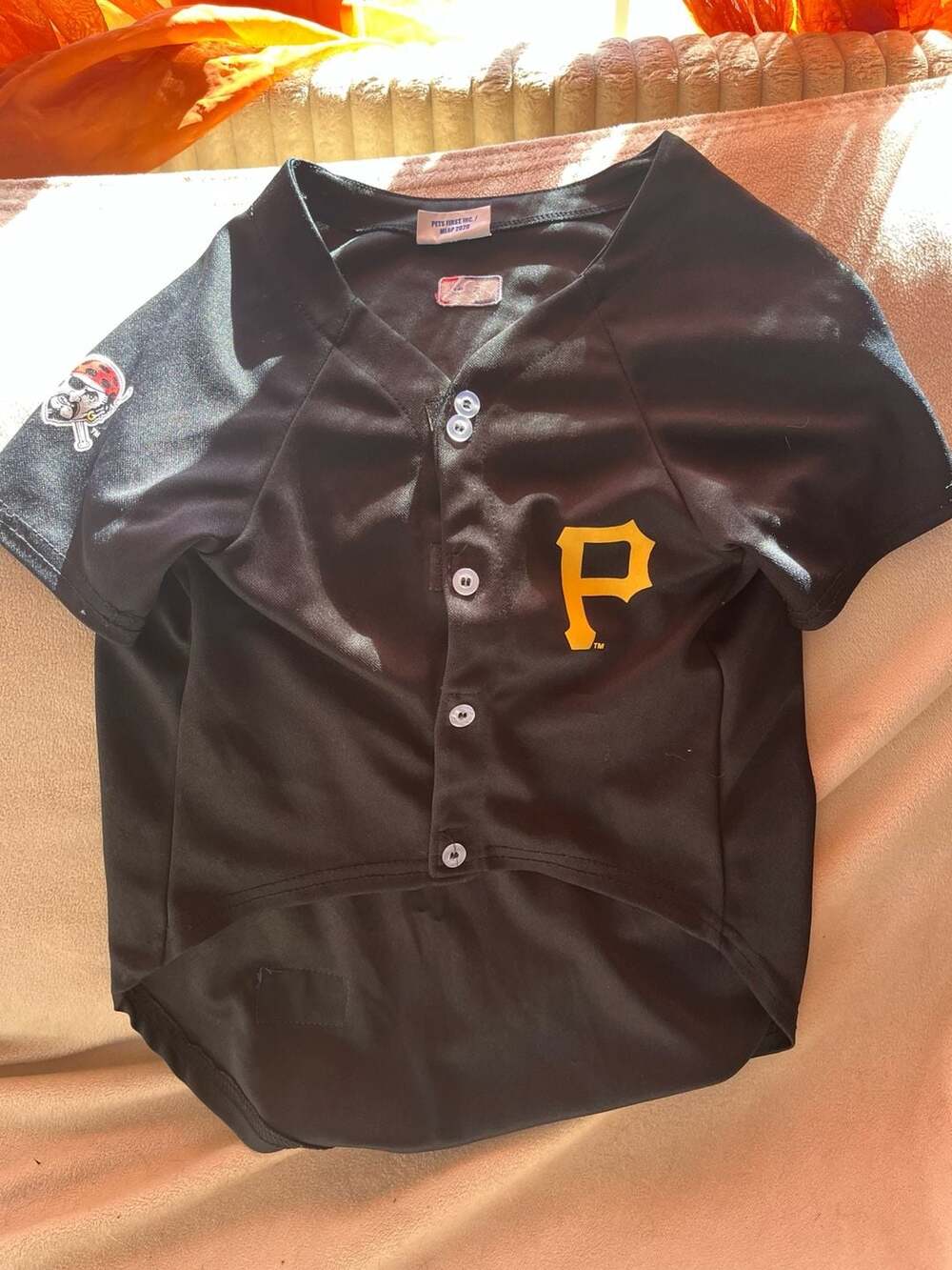 Pets First MLB Pittsburgh Pirates Pet Jersey Black 01